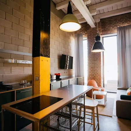 Apartment Smaltovna Lofty *